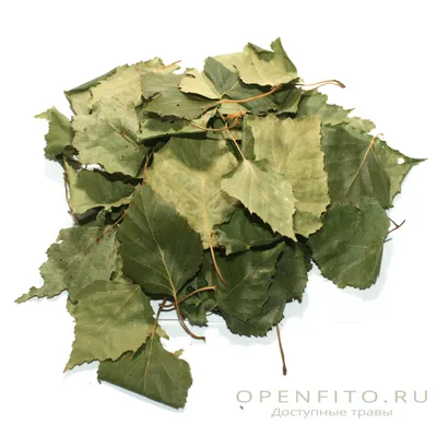 Искусственный осенний лист березы (50 шт) (ID#1939763013), цена: 41 ₴,  купить на Prom.ua