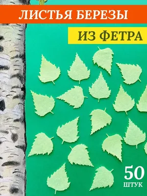 Зеленый Лист Березы — стоковая векторная графика и другие изображения на  тему 2015 - 2015, Абстрактный, Без людей - iStock