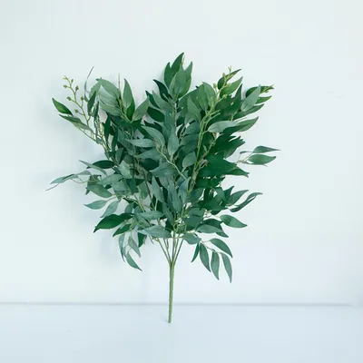 Искусственное растение \"Blumentag\" ALT-08 Декоративные элементы \"Листья ивы\"  7 x 10 см полиэтилен полиэстер 5 шт. 01 ассорти (ива) купить за 3,65 р. в  интернет-магазине Леонардо Беларусь
