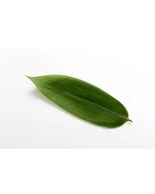 Листья бамбука купить в Fruitonline