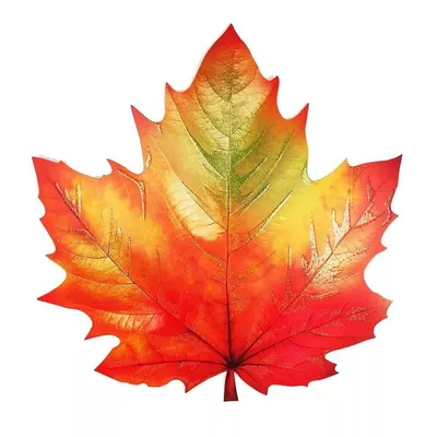 клен листьев осени стоковое фото. изображение насчитывающей изменение -  12264842