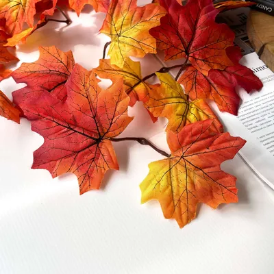 Листья клена осенью (91 фото) - 91 фото