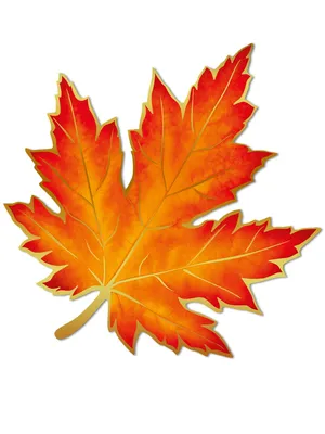 Листья клена осени сухие стоковое фото. изображение насчитывающей пусто -  117830902