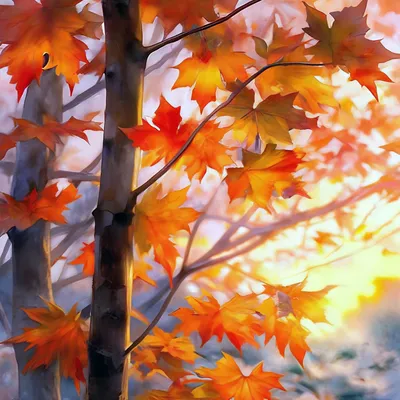 Красный кленовый лист. Осень. В изоляции Иллюстрация вектора - иллюстрации  насчитывающей цветасто, листья: 195864657