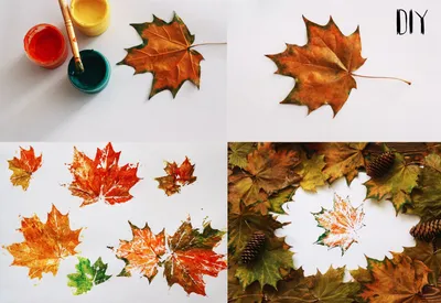 Красивые осенние красные кленовые листья PNG , Кленовый лист, красные листья,  красный PNG рисунок для бесплатной загрузки