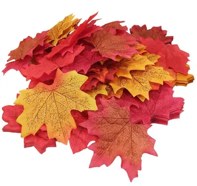 красный цвет клена листьев стоковое фото. изображение насчитывающей природа  - 6242272