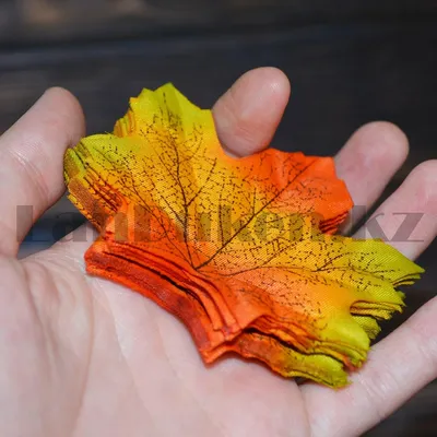 Цвет листьев клена осенью - 54 фото