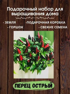 Сок ФРУКТОВЫЙ САД Яблоко Черноплодная рябина клубника и земляника 0,95мл -  Заказать | Цена 600 тг. | Доставка
