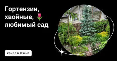 Это важно для меня...: Любимый сад, любимый дом ...