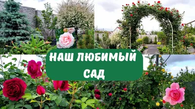 Ст Блюдо 3шт Любимый сад прямоуг ZYJGL-352F/9 в Россоши: цены, фото, отзывы  - купить в интернет-магазине Порядок.ру