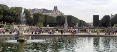 Цветы и тайны Люксембургского сада (Jardin du Luxembourg) — brechkodesign