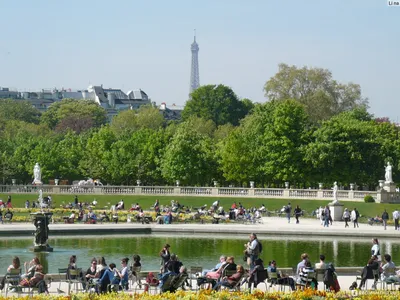 Цветы и тайны Люксембургского сада (Jardin du Luxembourg) — brechkodesign