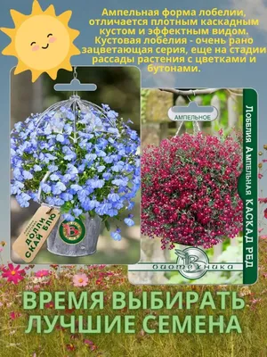 Семена лобелия Семена от Октябрины Ганичкиной Каскад смесь 1 уп. - купить в  Москве, цены на Мегамаркет