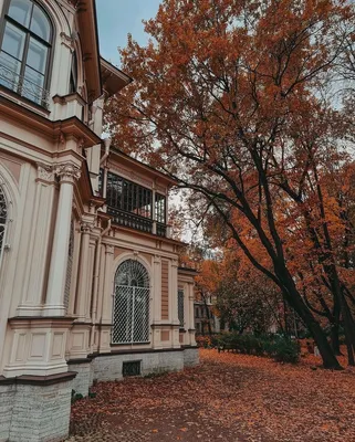 СПб.Лопухинский сад :: Таэлюр – Социальная сеть ФотоКто