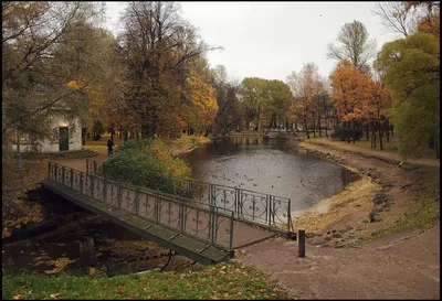 О Петербурге - Лопухинский сад