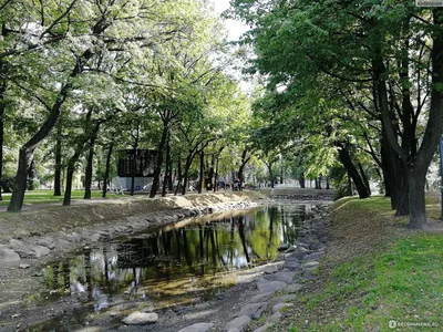 Лопухинский сад фото фотографии