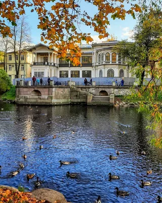 Лопухинский сад встречает петербуржцев обновленными аллеями и газонами //  Новости НТВ