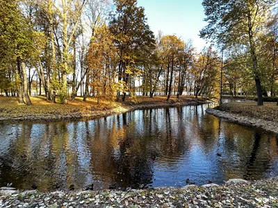 Лопухинский сад в Санкт-Петербурге: адрес, фото, как добраться