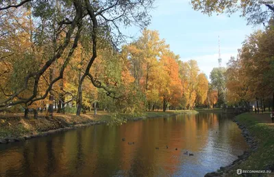 Свадебные фотосессии • Свадебный фотограф СПб