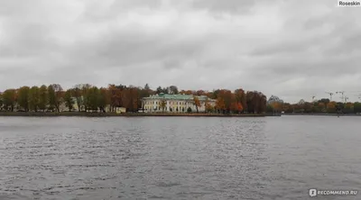 Где провести свадебную прогулку в СПб
