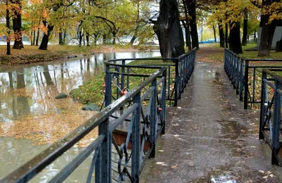 Лопухинский сад, Санкт-Петербург - «Каждый год мы с друзьями ходим в баню,  вычеркиваем, в сад. Все в сад. » | отзывы