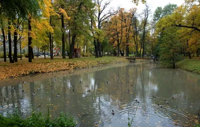 Лопухинский сад в Санкт-Петербурге