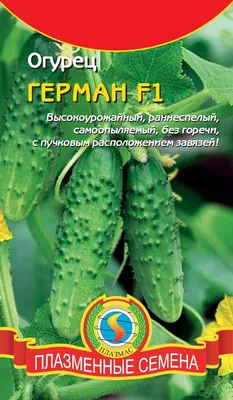 Лучшие сорта огурцов