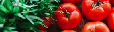 Что такое детерминантные и индетерминантные сорта помидоров: когда сажать  помидоры на рассаду, лучшие и урожайные сорта томатов - 25 марта 2023 - НГС