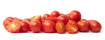 Экскурсия в теплицы коллекционера сортов томатов