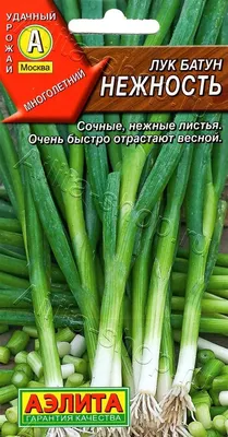 Лук батун Лонг Токио 1 г – купить в Алматы по цене 140 тенге –  интернет-магазин Леруа Мерлен Казахстан
