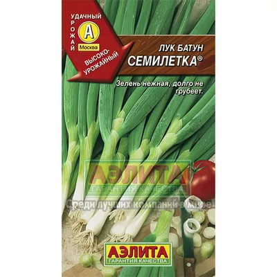 Семена Лук батун Русский зимний - купить в магазине ПроСыр