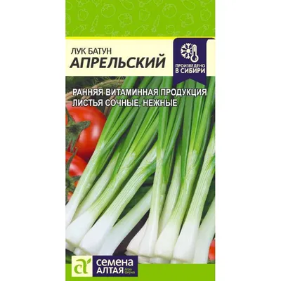 Лук батун Русский зимний 1 г Поиск купить недорого в интернет-магазине  товаров для сада Бауцентр