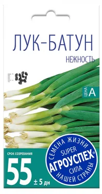 Купить - Лук Батун Апрельский/Сем Алт/цп 1 гр.. Alsemya.ru - интернет  магазин семян и саженцев, газонов и удобрений!