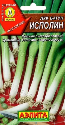 Лук батун Апрельский - Садовый центр «СадОК»