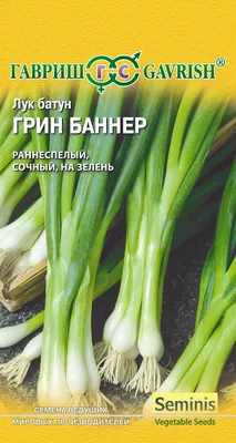 Лук батун Русский зимний (ЦВ) 1 гр. купить в интернет-магазине RemontDoma