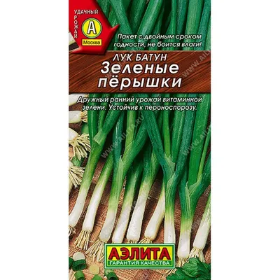 Семена Лук батун Нежность (а/ф Уральский Дачник) купить за 23 р. в садовом  центре АСТ Медовое