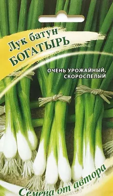 Лук батун Исполин 1г, семена | Купить в интернет магазине Аэлита