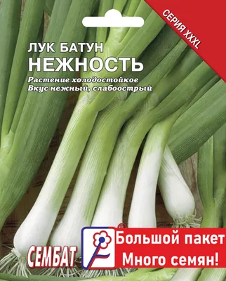 Лук батун Грин Баннер Гавриш - купить семена в интернет-магазине