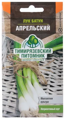 Лук батун Апрельский - описание, заказать семена по оптовой цене