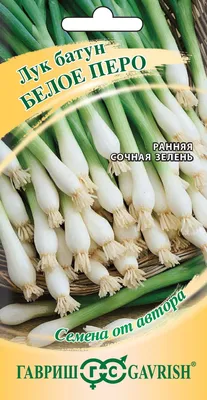 🌱 Лук батун по цене от 525 руб: рассада, саженцы - купить в Москве с  доставкой - интернет-магазин Все Сорта