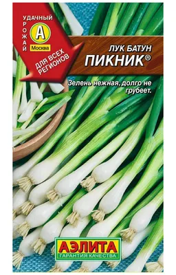 Купить Лук батун (на зелень) Богатырь (г) 0,5гр от