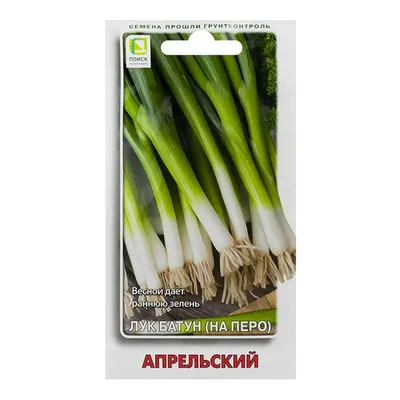 Лук батун minecraft» — создано в Шедевруме
