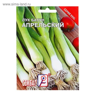 Лук Батун Русская Трапеза, на зелень 0,5 гр. серия Русский вкус! купить  оптом в Томске по цене 15,63 руб.