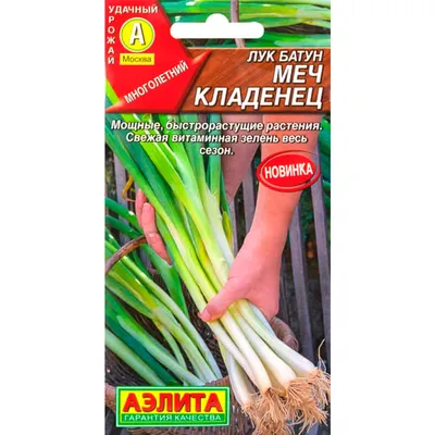 Лук батун Белый пучок семена Аэлита купить в интернет-магазине Гемма
