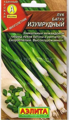 Лук Батун Премьера 1 гр купить оптом в Томске по цене 17 руб.