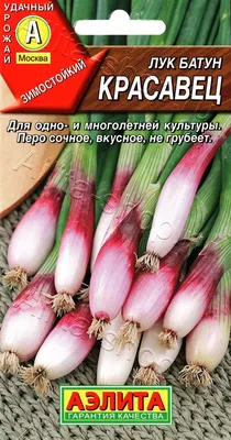 Лук-батун