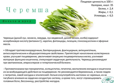 Овощи Черемша лесная - «Черемша, или лук дикий - витаминная бомба ранней  весной. Какие вкус, аромат, полезные свойства, цена? Где купить медвежий лук  дешевле» | отзывы