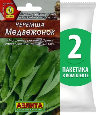 Победоносный лук и Черемша - это разные растения? | Растения, Деликатесы,  Кулинария