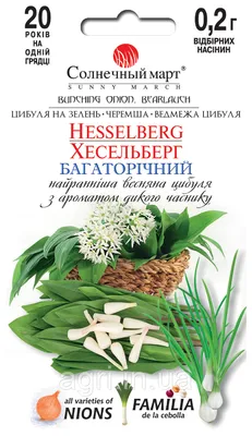 Семена Черемша Медвежонок или Лук медвежий, Дикий чеснок (2 пакетика по  0,5г/70шт в каждом) | AliExpress