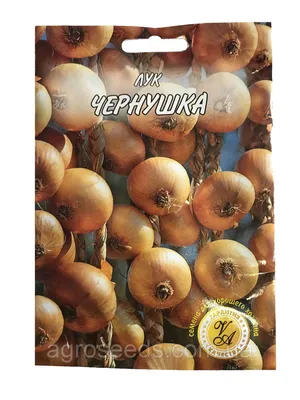 Семена лука Чернушка круглый 10 г: купить в Украине. семена и рассада  овощных культур от [магазина AgroSeeds]